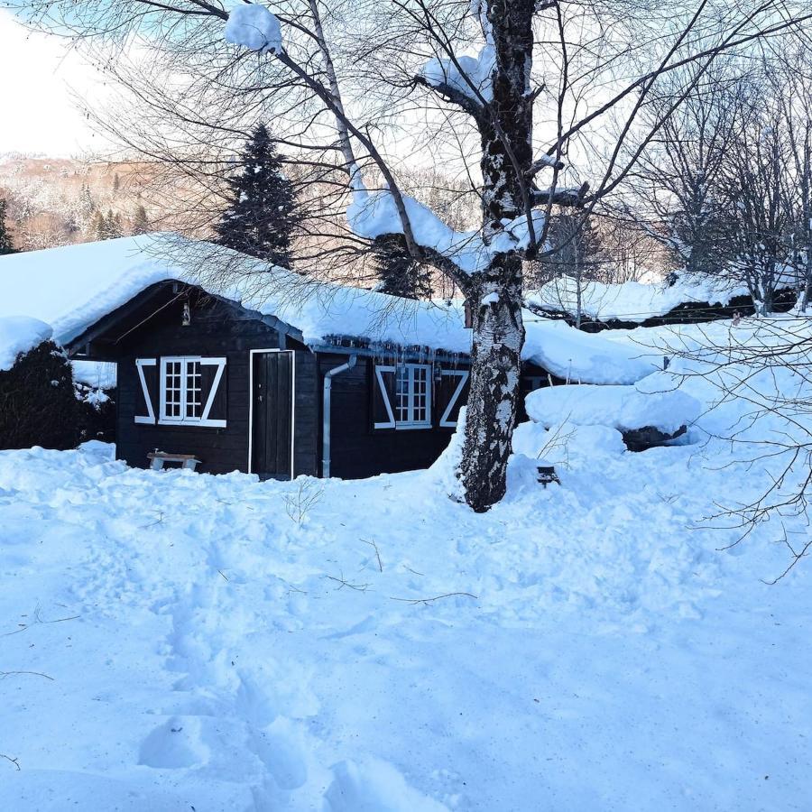 Chalet Des Cascades Le Mont-Dore Exterior photo